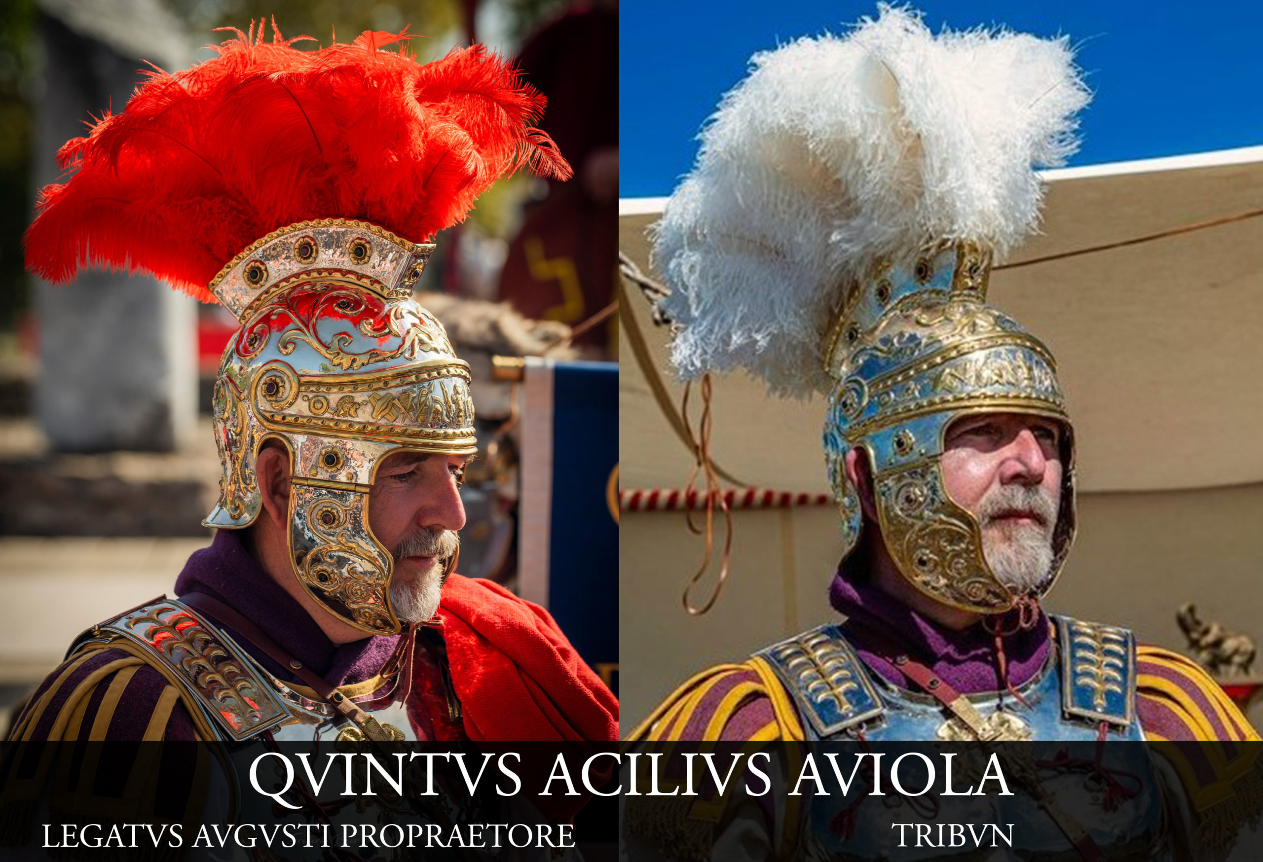 Quintus Acilius Aviola